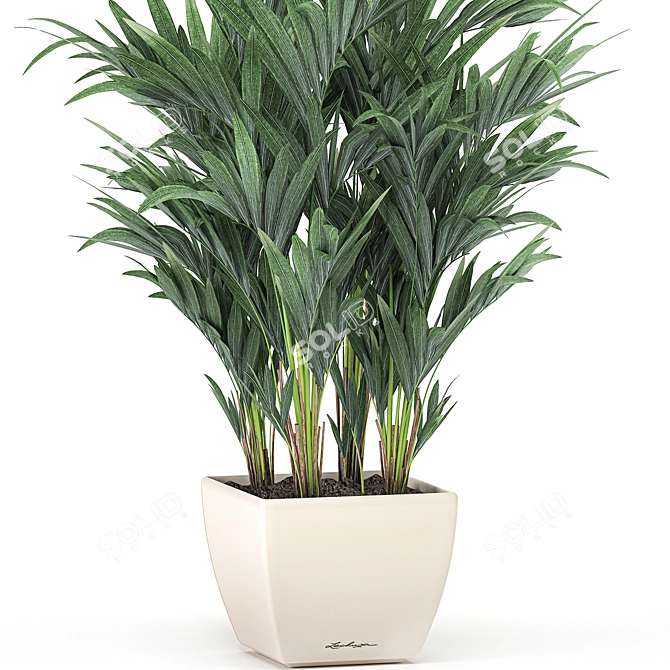 Tropical Palm Trio in White Pots 3D model image 2