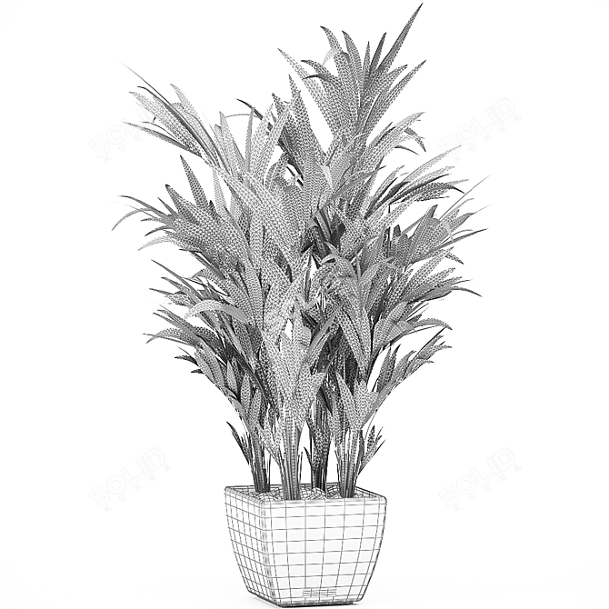 Tropical Palm Trio in White Pots 3D model image 4