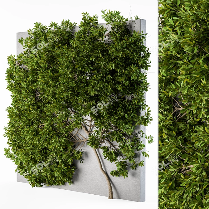 Lush Green Ivy Wall Plants 3D model image 1