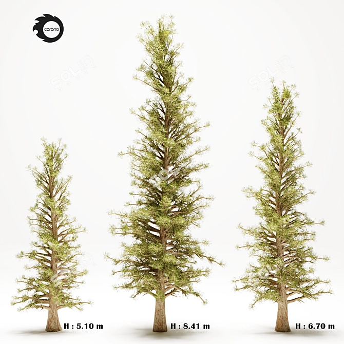 Pine Tree 110: Majestic 670cm Tall 3D model image 1