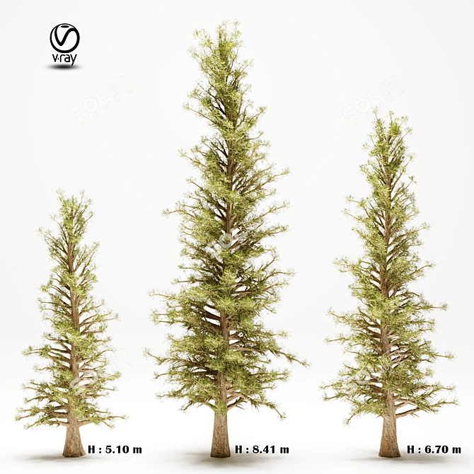 Pine Tree 110: 3D Tree Model 3D model image 1