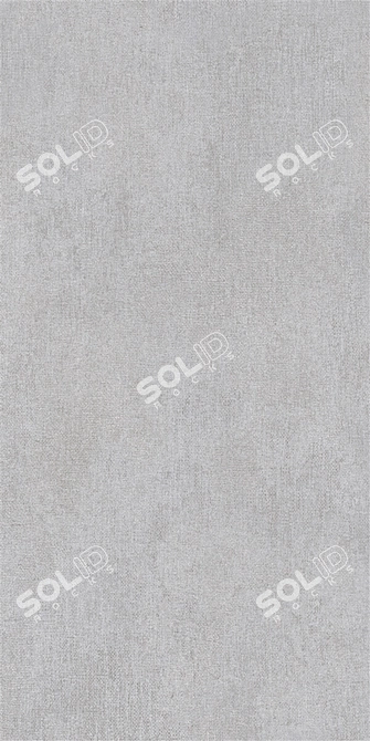 Savoy Gray Concrete Set: Multi-textured 60x120 cm Tiles 3D model image 4