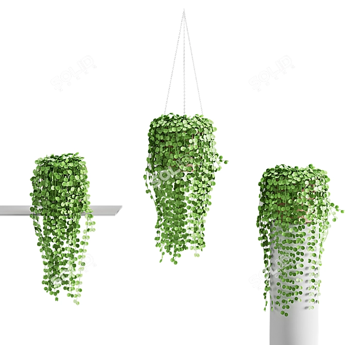 Coin Strings Hanging Plants 3D model image 1
