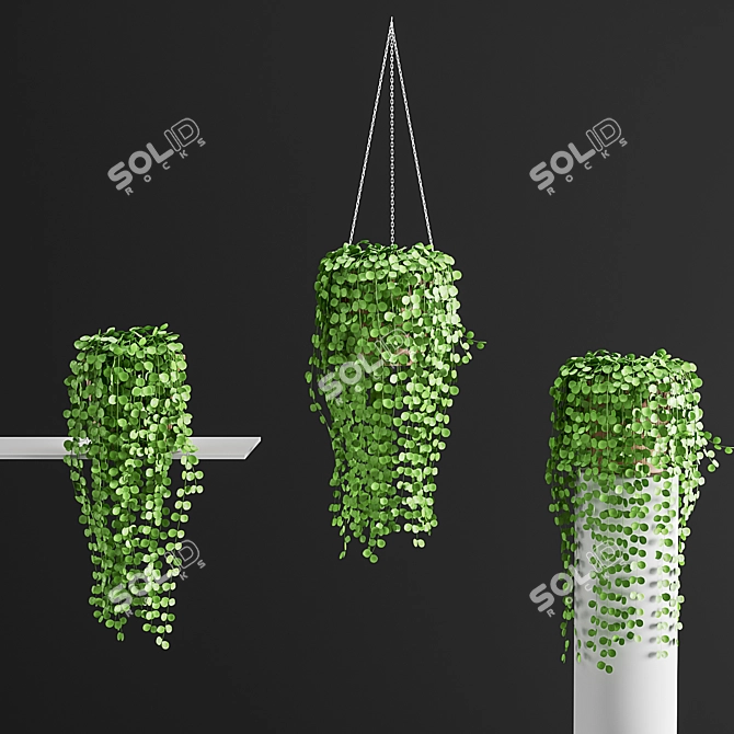 Coin Strings Hanging Plants 3D model image 2