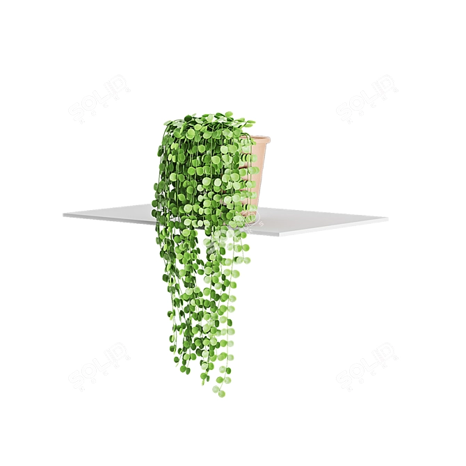 Coin Strings Hanging Plants 3D model image 3