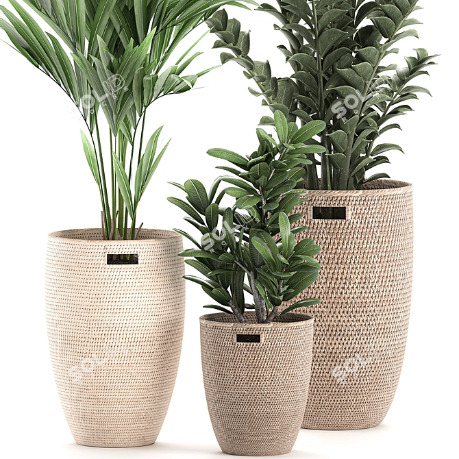 Exotic Indoor Plant Collection 3D model image 3