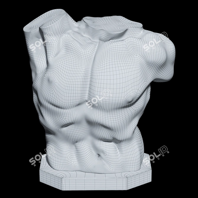 Title: Laocoon Torso Sculpture - Timeless Elegance 3D model image 4