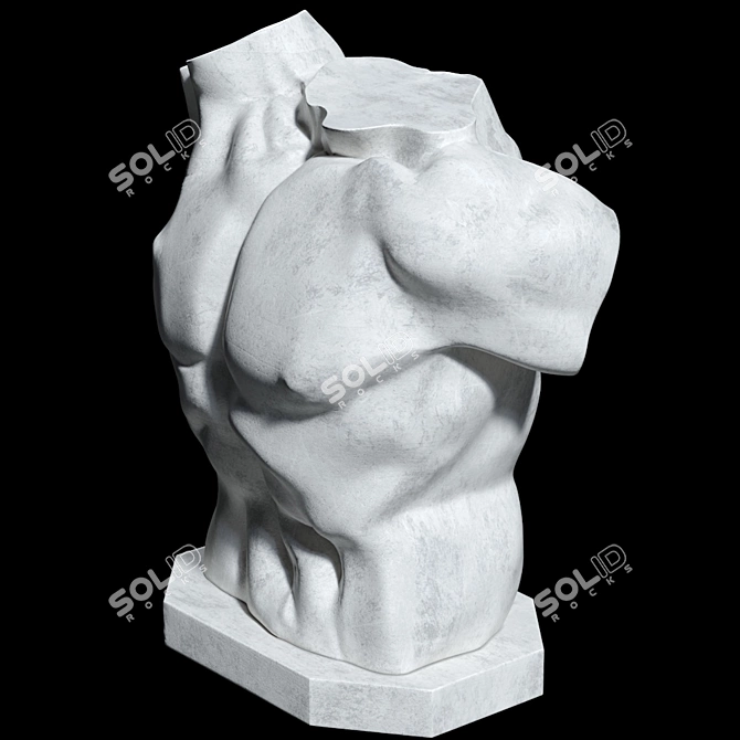 Title: Laocoon Torso Sculpture - Timeless Elegance 3D model image 6