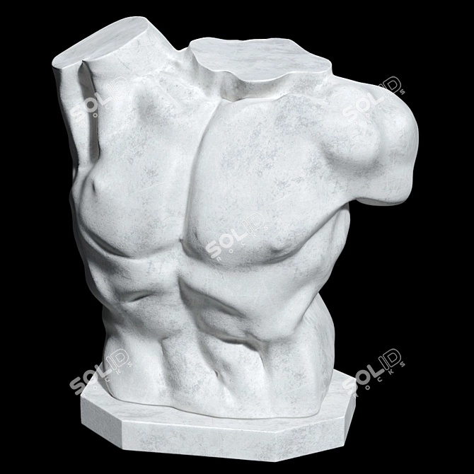 Title: Laocoon Torso Sculpture - Timeless Elegance 3D model image 9