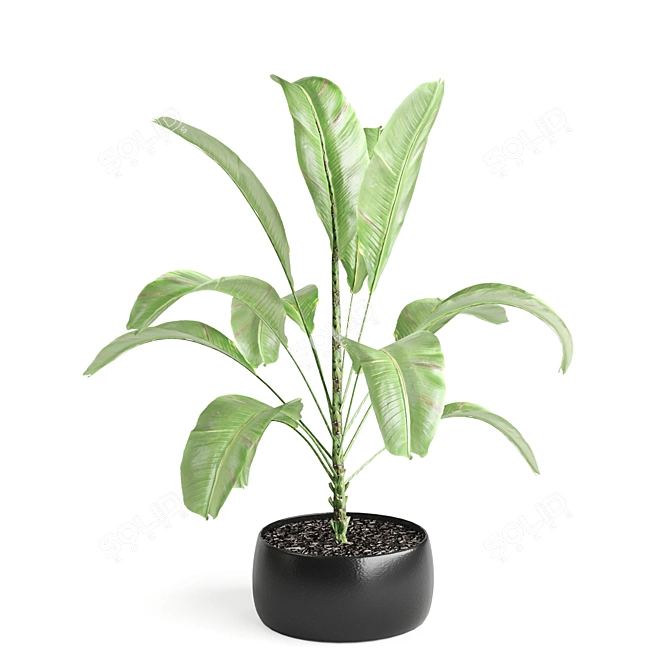Botanical Bliss: 5-Plant Set 3D model image 2