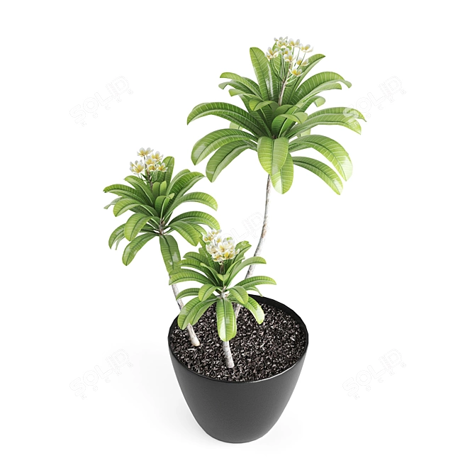 Botanical Bliss: 5-Plant Set 3D model image 3