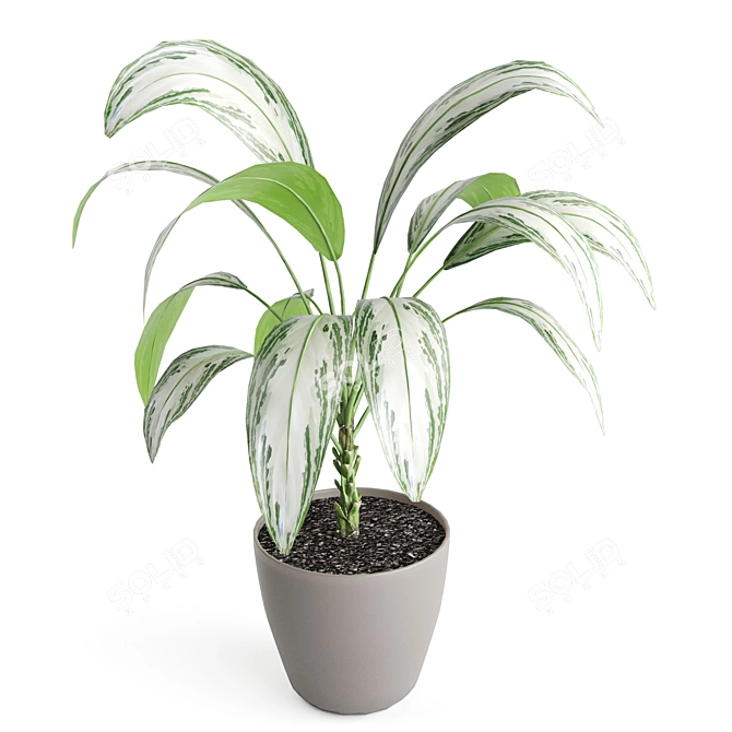 Botanical Bliss: 5-Plant Set 3D model image 4