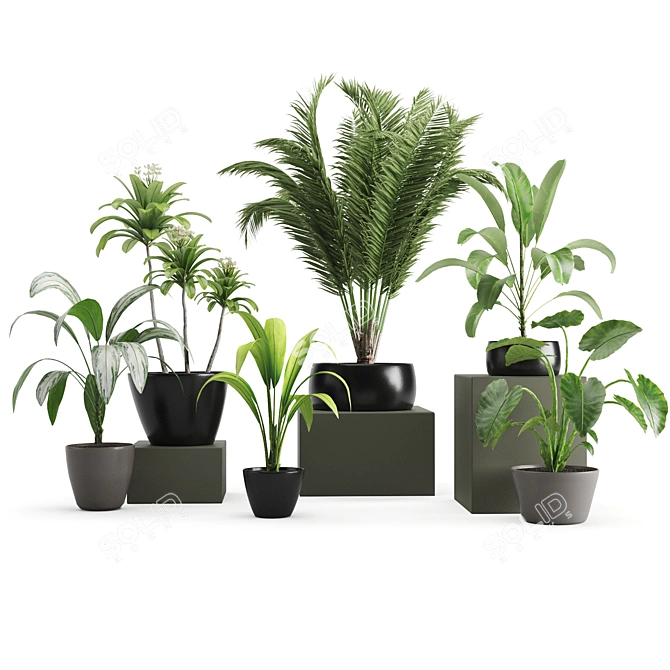 Botanical Bliss: 5-Plant Set 3D model image 7