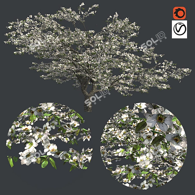 Cherry Blossom Dream Tree 3D model image 1