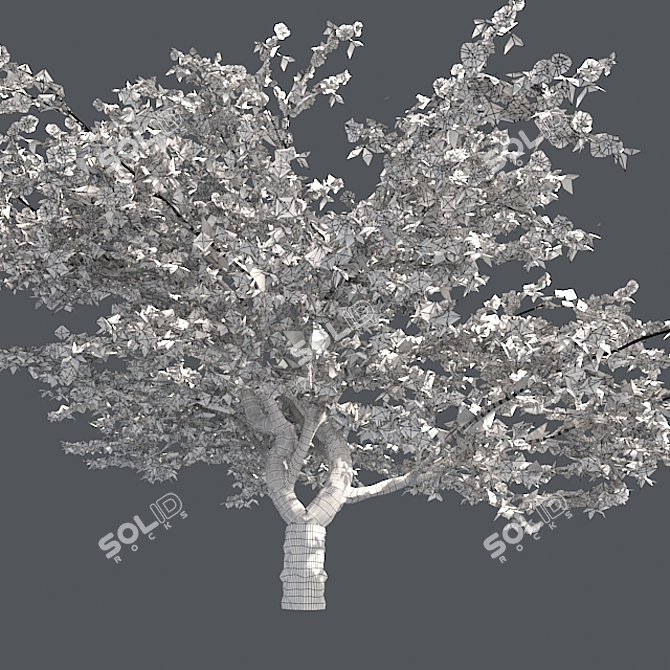 Cherry Blossom Dream Tree 3D model image 5