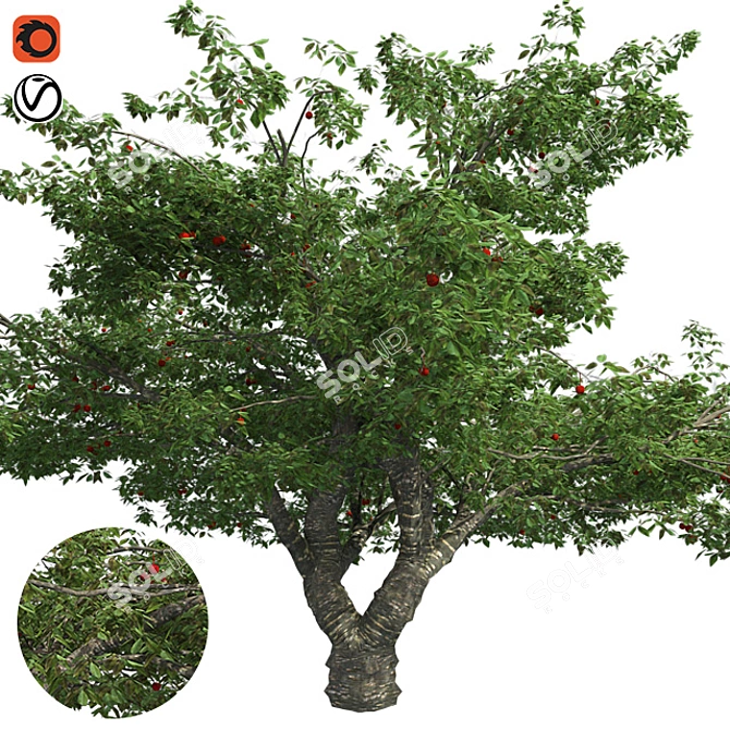 Bountiful Cherry Tree: Realistic, Optimized, High-Quality 3D model image 1