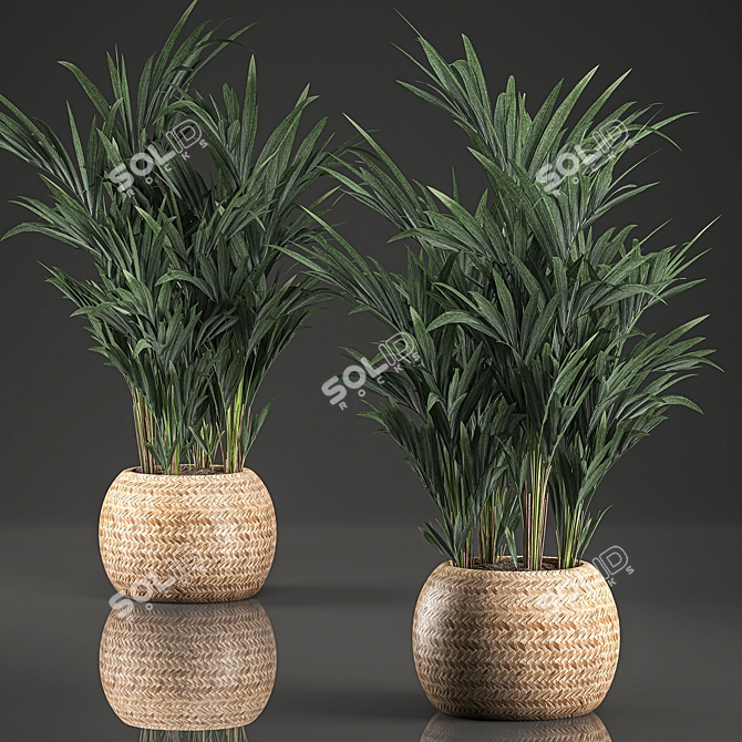 Tropical Palm Collection in Basket 3D model image 1