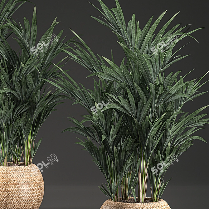 Tropical Palm Collection in Basket 3D model image 2