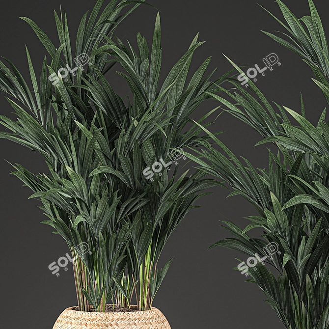 Tropical Palm Collection in Basket 3D model image 3