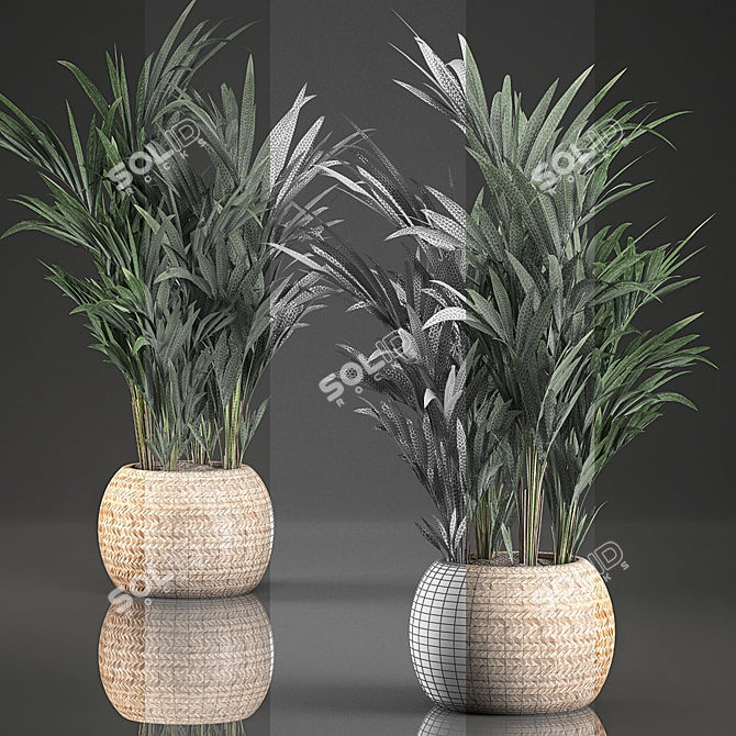 Tropical Palm Collection in Basket 3D model image 4