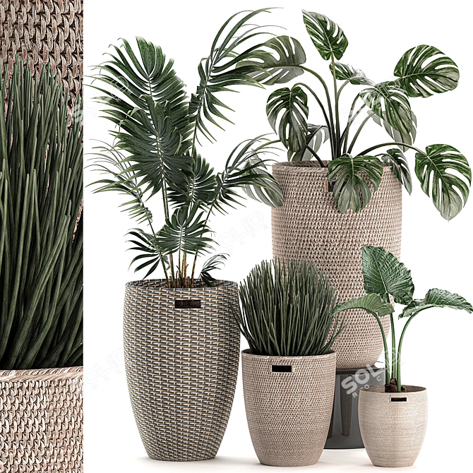 Tropical Plant Mix: Exotic, Decorative, Indoor 3D model image 1