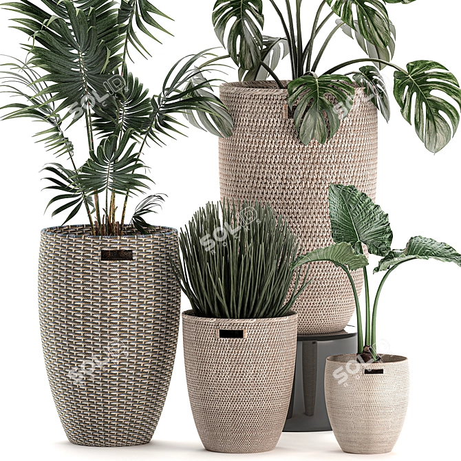 Tropical Plant Mix: Exotic, Decorative, Indoor 3D model image 2