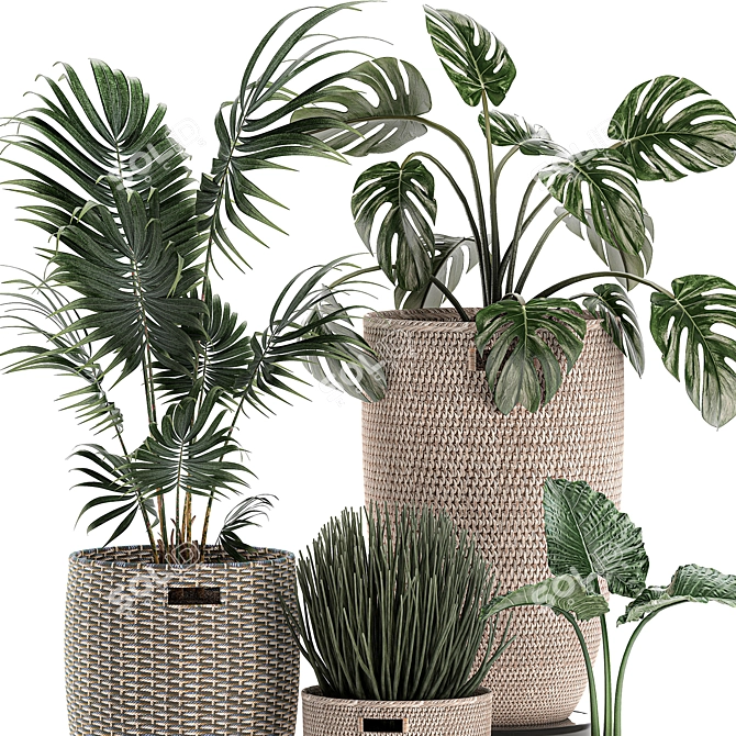 Tropical Plant Mix: Exotic, Decorative, Indoor 3D model image 3