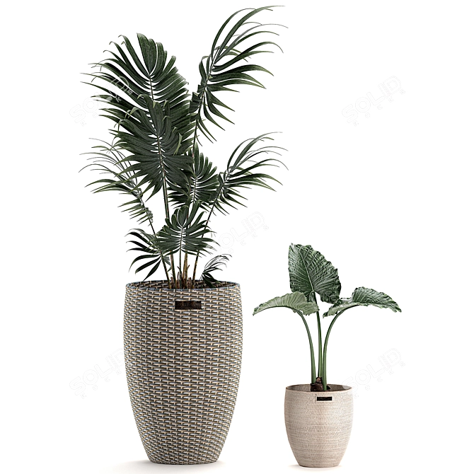 Tropical Plant Mix: Exotic, Decorative, Indoor 3D model image 4