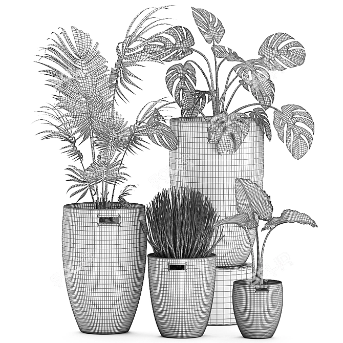 Tropical Plant Mix: Exotic, Decorative, Indoor 3D model image 5