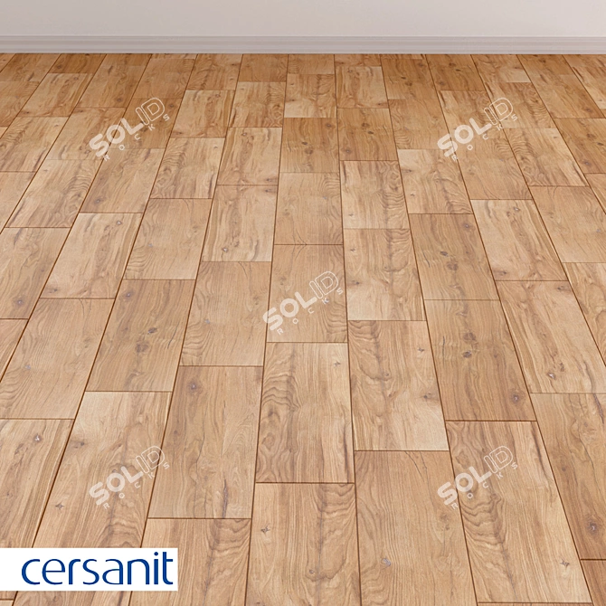 Maplewood Porcelain Brown Tile 3D model image 1