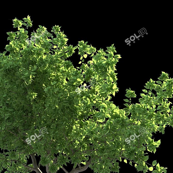 Scatter Duo: Landscape Trees 3D model image 3