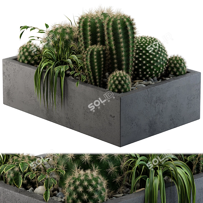 Desert Dream Cactus Set 3D model image 2