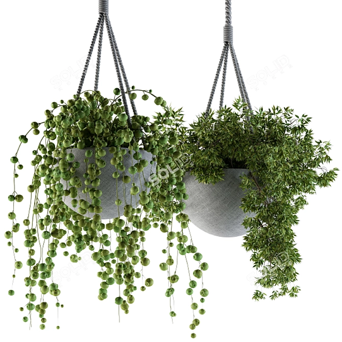 Title: Rustic Rope Hanging Pot 3D model image 1