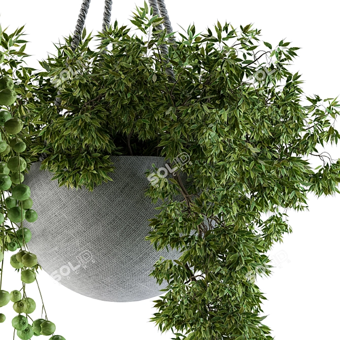 Title: Rustic Rope Hanging Pot 3D model image 3