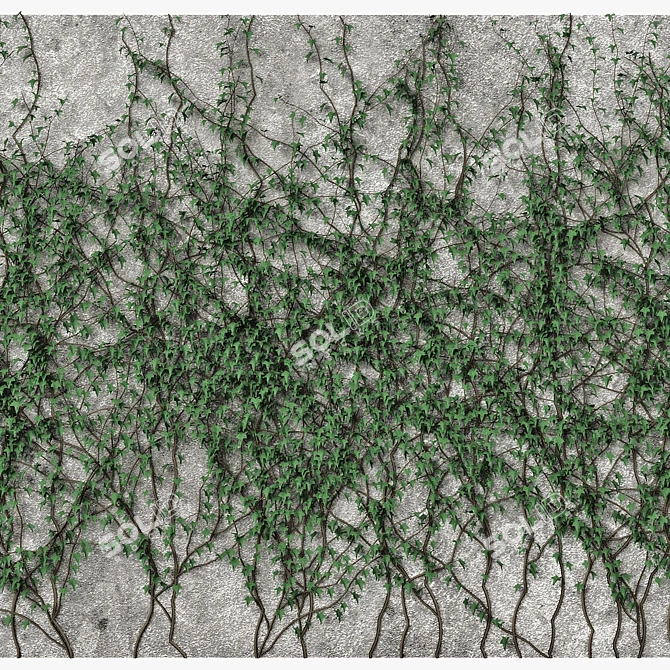 Versatile Ivy Wall Decoration 3D model image 1