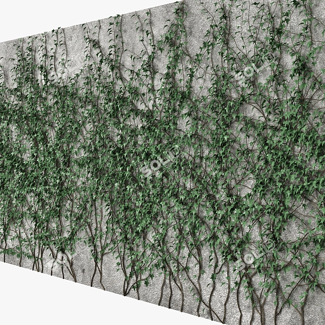 Versatile Ivy Wall Decoration 3D model image 2