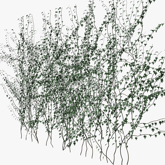 Versatile Ivy Wall Decoration 3D model image 3