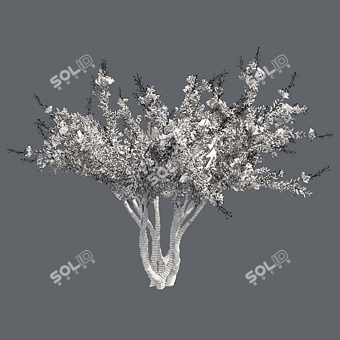 Luscious Crape Myrtle Tree 3D model image 5