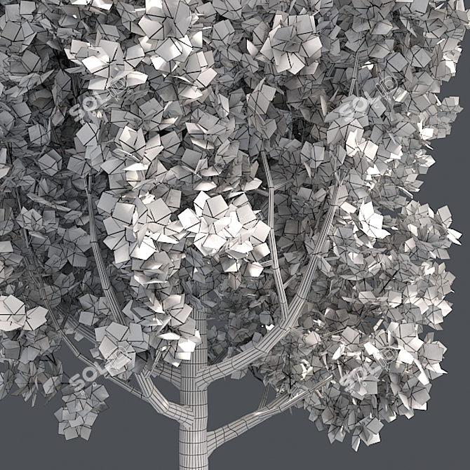 Optimized Quad Cypress Oak 3D model image 5