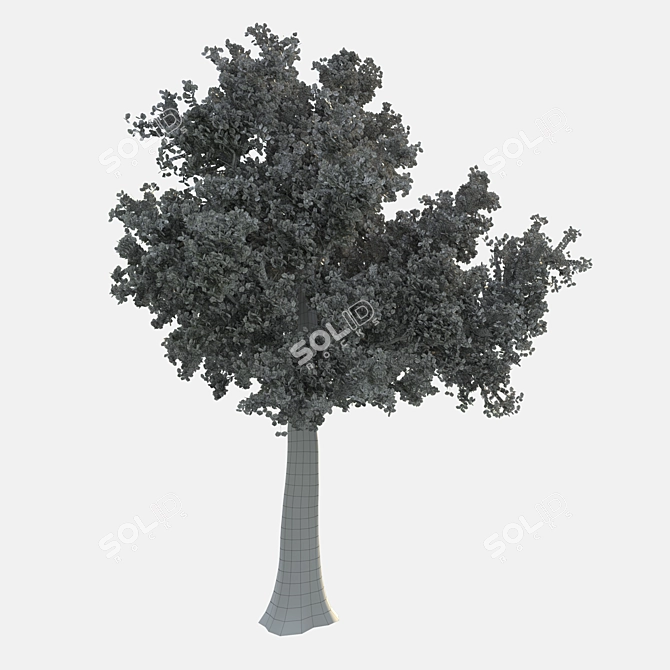 Corona Render Tree: 737.48 cm Height 3D model image 3