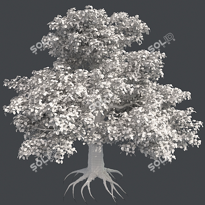 Title: EuropaBeech Corona Tree 3D model image 5