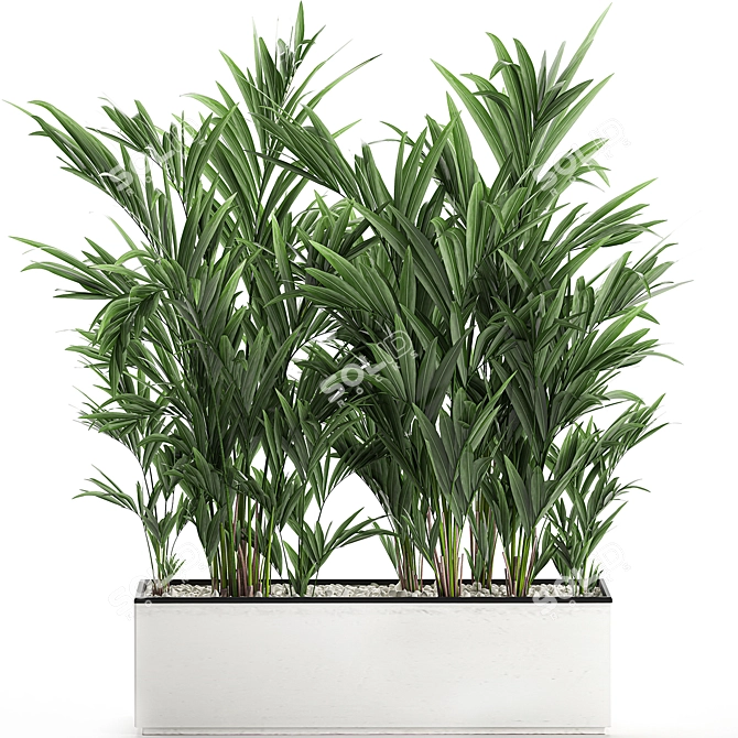 Tropical Palm Collection in White Pots 3D model image 1