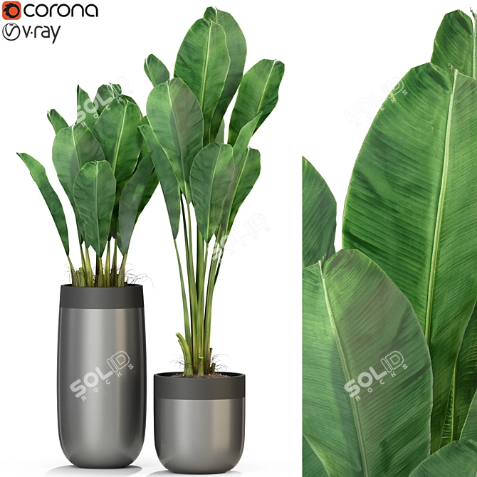 Tropical Oasis: Plants Collection 3D model image 4