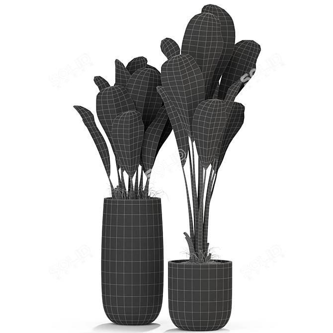 Tropical Oasis: Plants Collection 3D model image 2