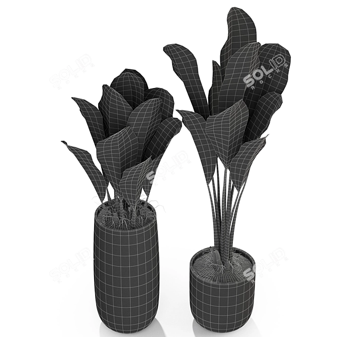 Tropical Oasis: Plants Collection 3D model image 3