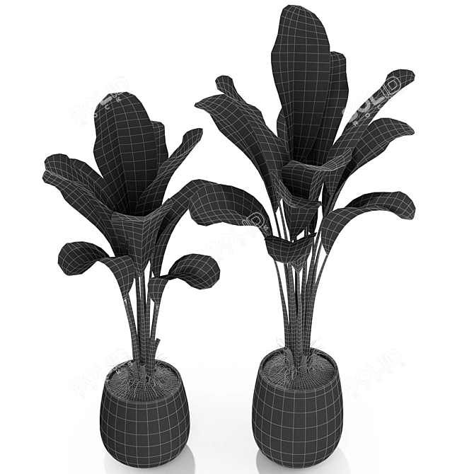 Exquisite Plants Collection 310 3D model image 4