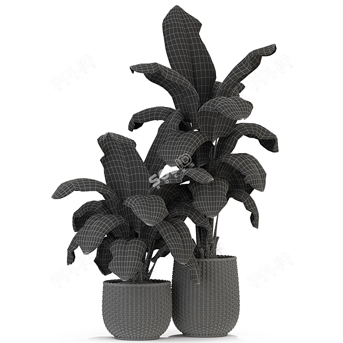 311 Plants Collection: Poly:438906, Verts:225323 3D model image 3