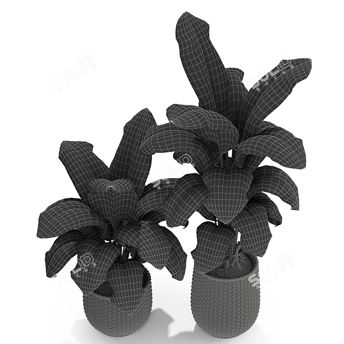 311 Plants Collection: Poly:438906, Verts:225323 3D model image 4