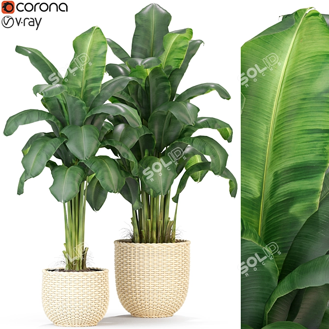312 Plants Collection: Vibrant and Lush Foliage 3D model image 1