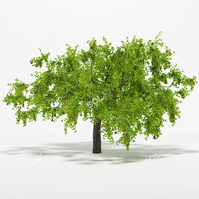 Vintage Apple Tree 5S Sculpture 3D model image 3